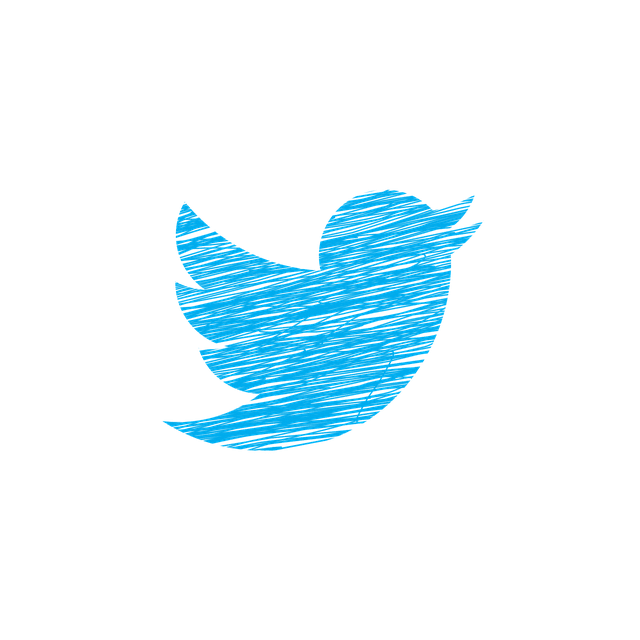 Twitter Icon