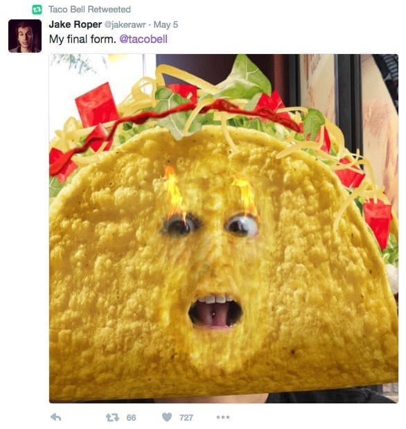 Taco Bell showed us what Snapchat Ads and campaigns should look like.