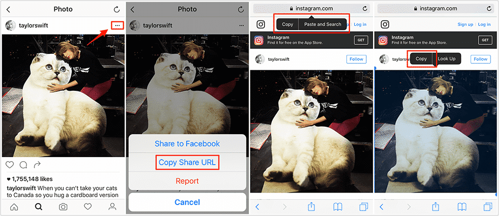 How to use Instagram to download images